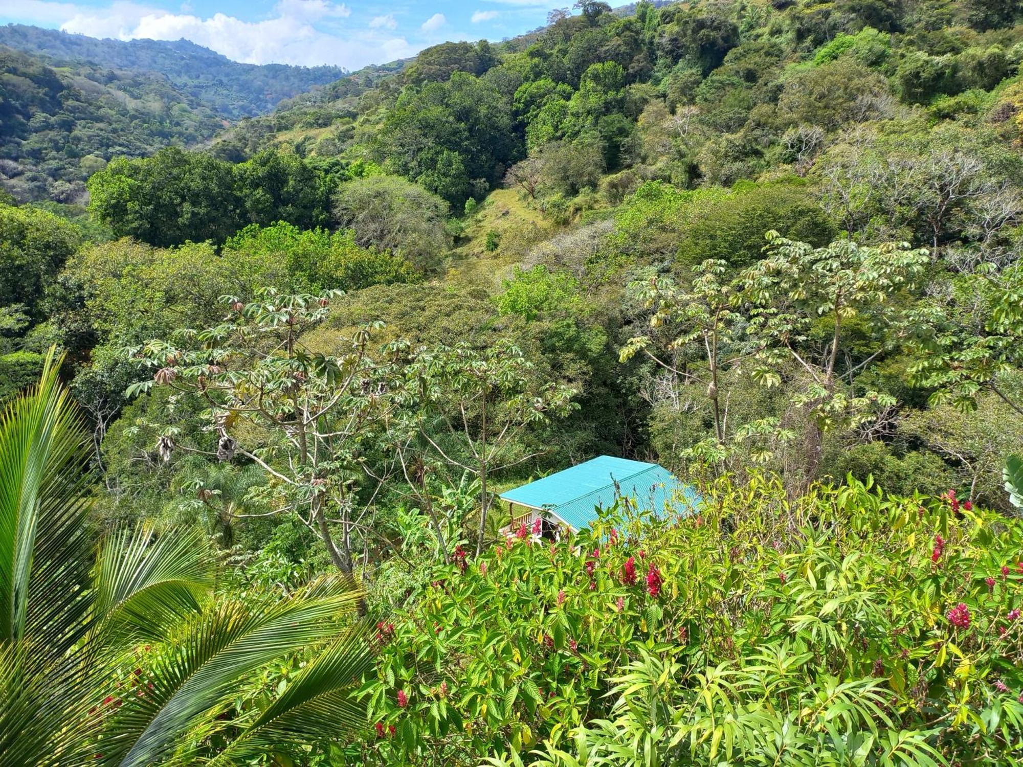 Casa El Colibri Villa Naranjo  Екстериор снимка