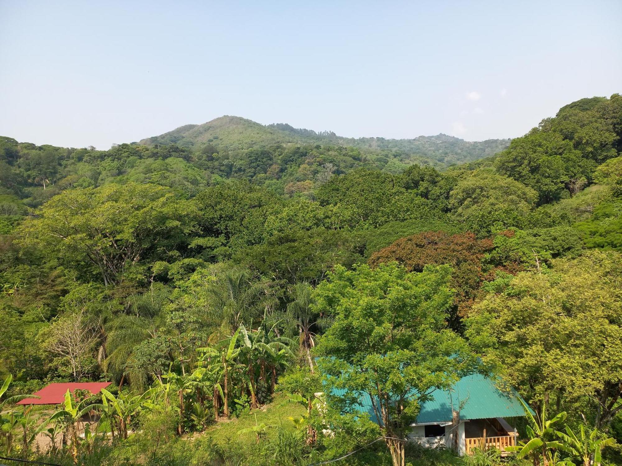 Casa El Colibri Villa Naranjo  Екстериор снимка